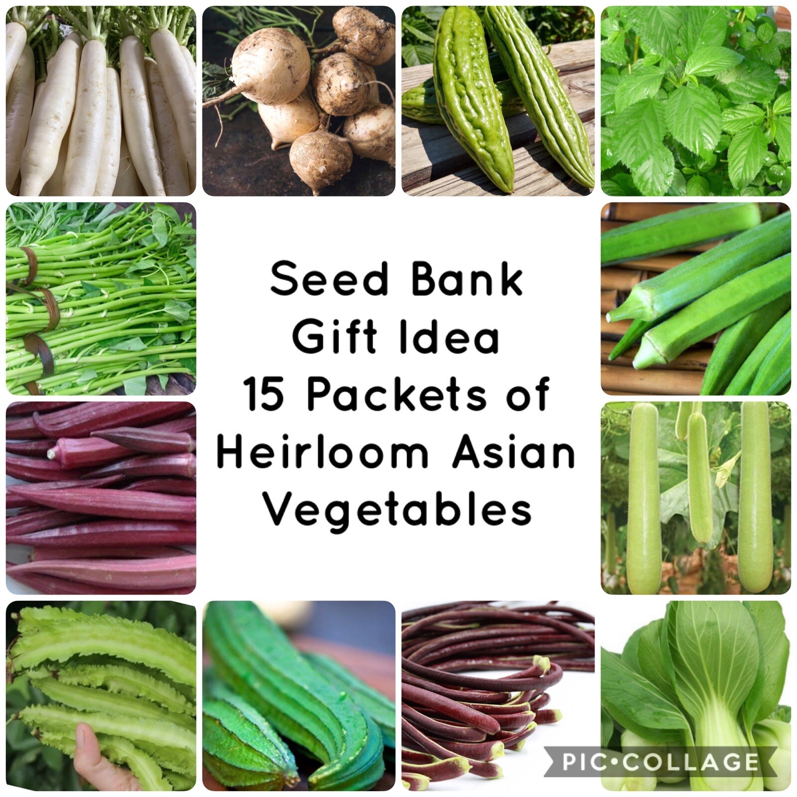 15 Packet Asian / Filipino SEEDS Bundle | Planting Instruction Included