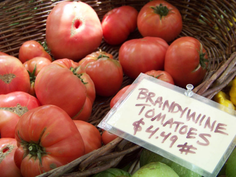 35 SEEDS – tomato, BRANDYWINE, HEIRLOOM, GroCo USA – BUY 15-SHIPS FREE