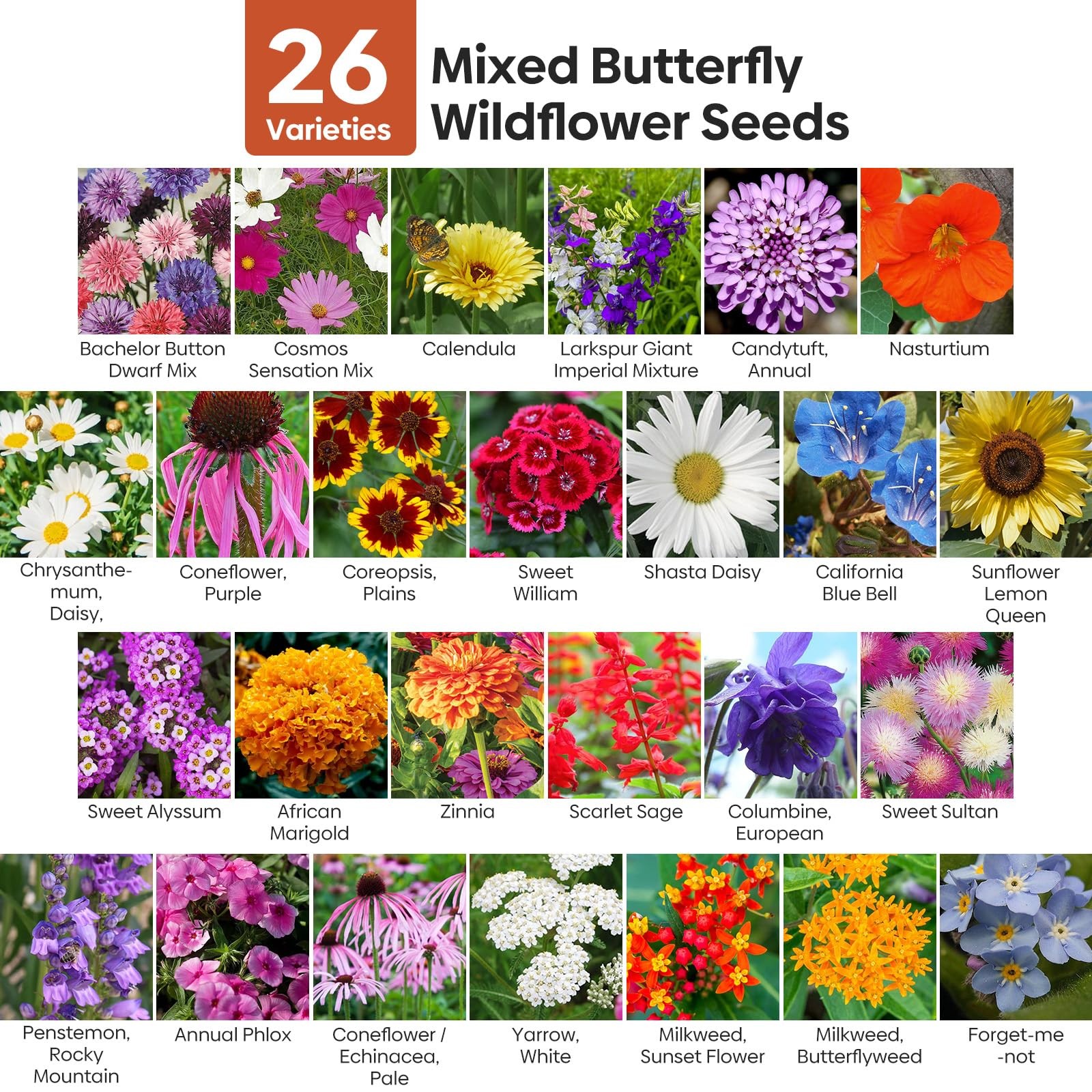 Wildflower Seeds Bulk, 4 Ounce, 200,000+ Seeds, 26 Varieties Annual & Flower …