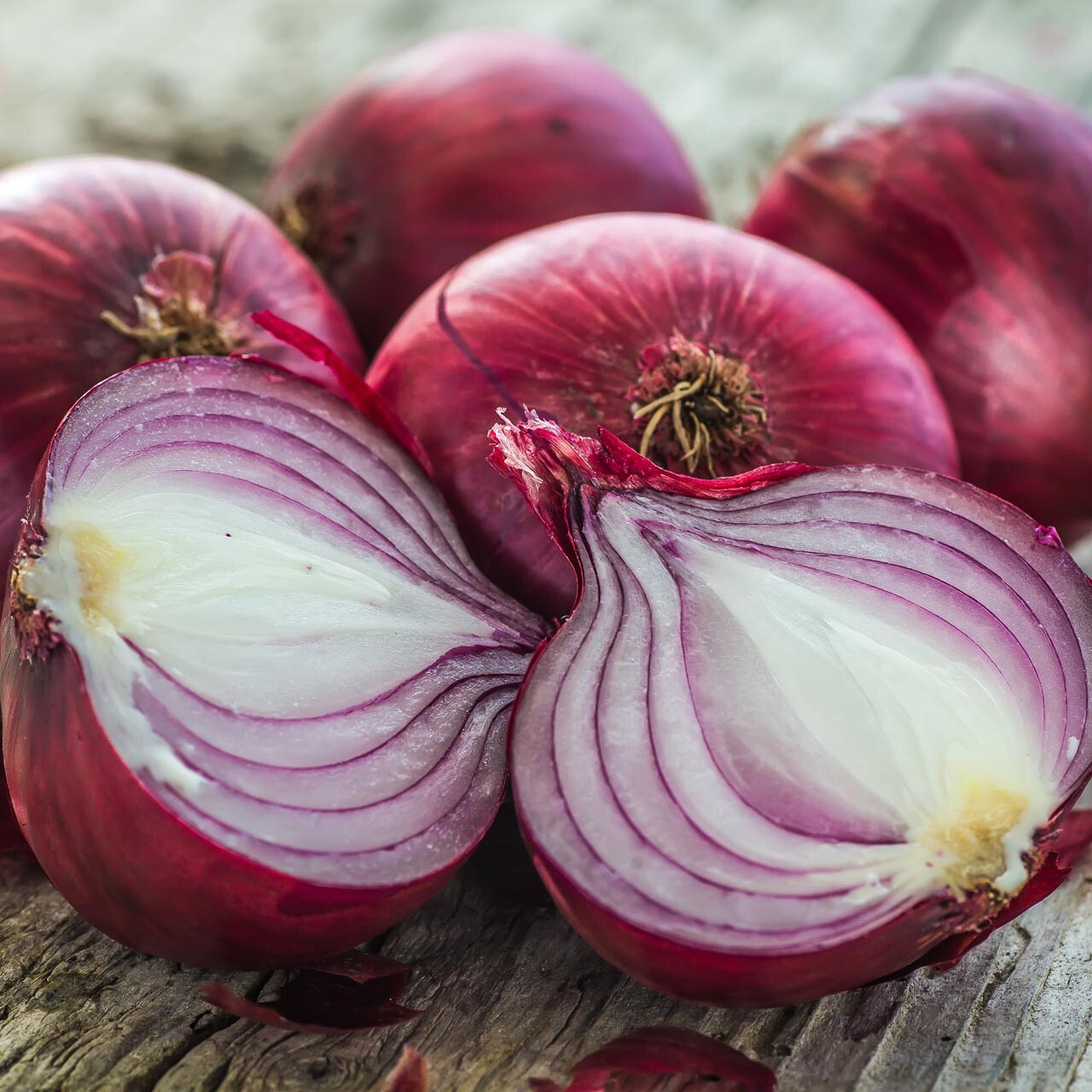 Red Burgundy Onion Seeds (200) / ORGANIC / FLORIDA GROWN