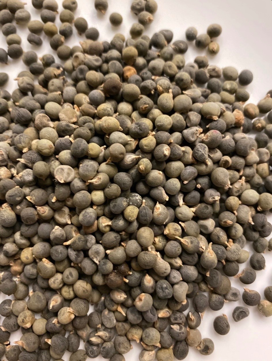 30 Fresh Okra Seeds, Clemson Spineless, Organic Non-GMO Heirloom USA Seller 🇺🇸