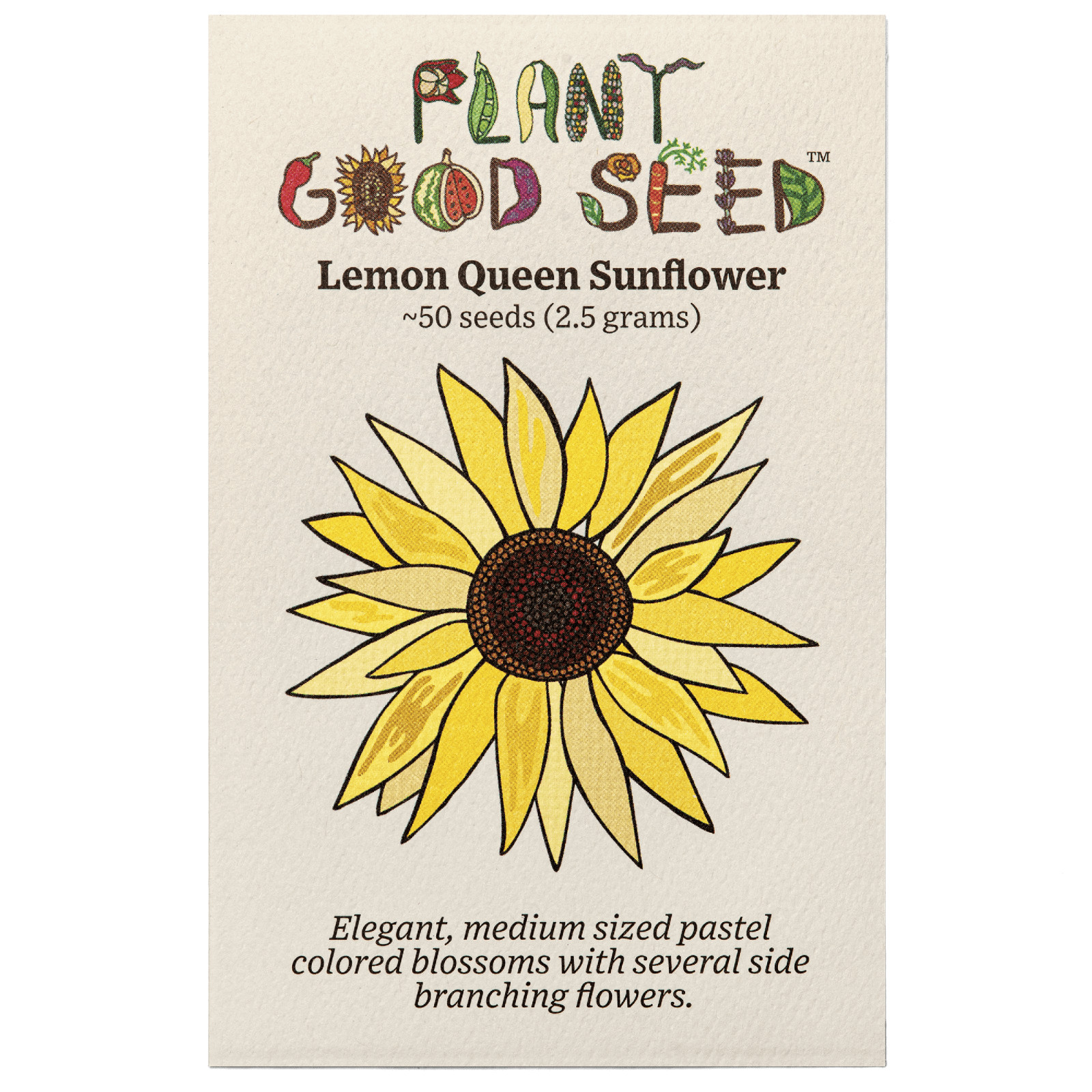 Lemon Queen Sunflower Seeds for Planting: 50 Seed Packet / Bulk Heirloom Non-GMO