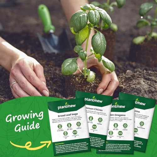 PLANTMEW Culinary Herb Seeds Variety Pack for Home Garden Planting and Growing