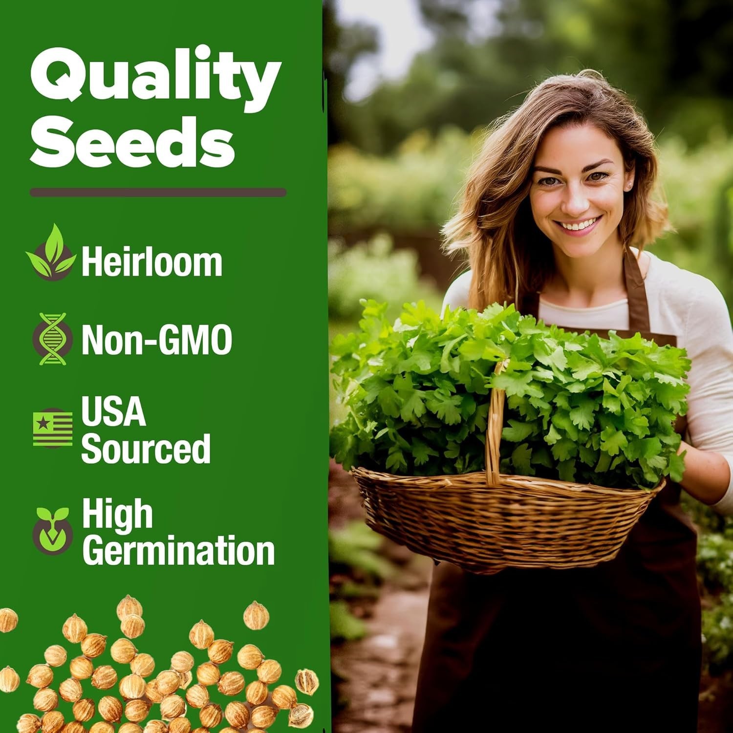 High Yield Cilantro Seeds 500 Heirloom Garden Seeds Perfect for Any Skill Level