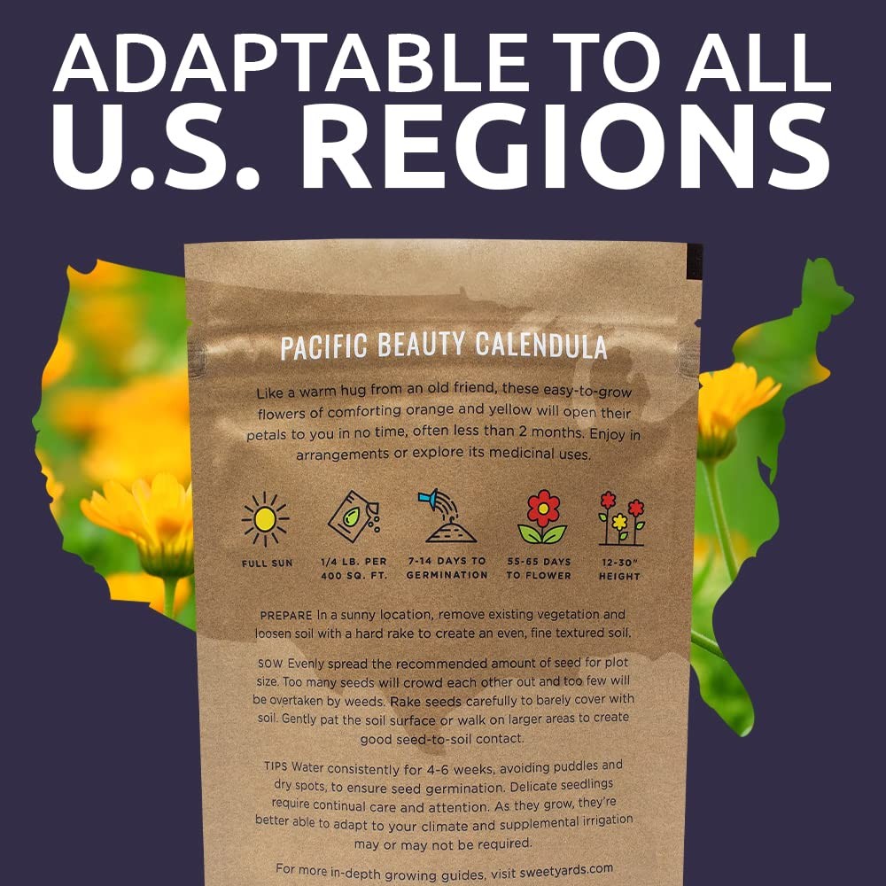Calendula ‘Pacific Beauty Mix’ – Bulk Quarter Pound Bag – Over 12000 Open Pol…