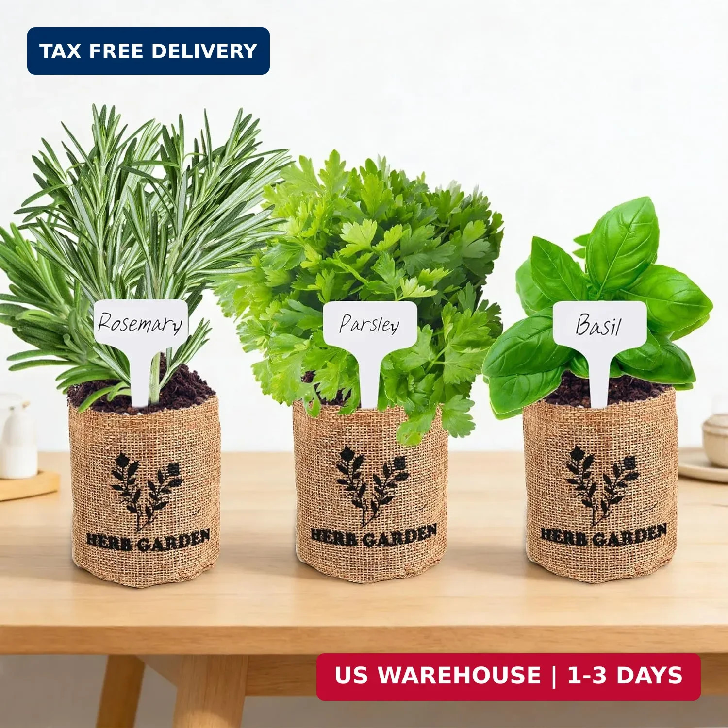 Meekear 5 Herb Indoor Starter Kit, Complete Planting Set for Kitchen Herb Garden