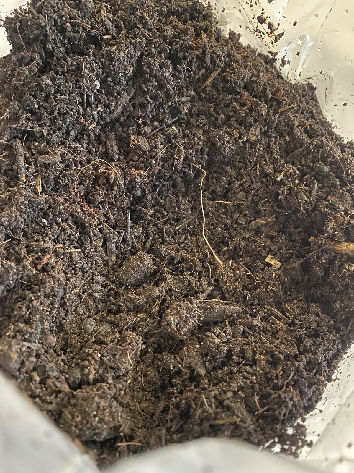 5lb Manure Base Mushroom substrate Grow Bag