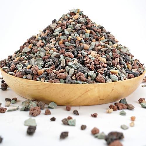 Horticultural Lava Rock Pebbles – Pumice Soil Amendment for Succulents & Cacti 6