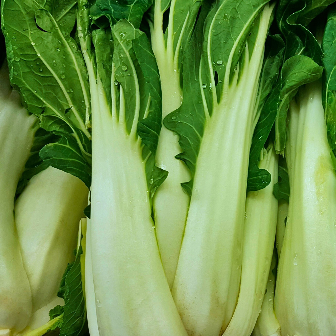 Fresh Canton Pak Choi Bak Choi Seeds | Heirloom Non-GMO | Asian Vegetable Seeds