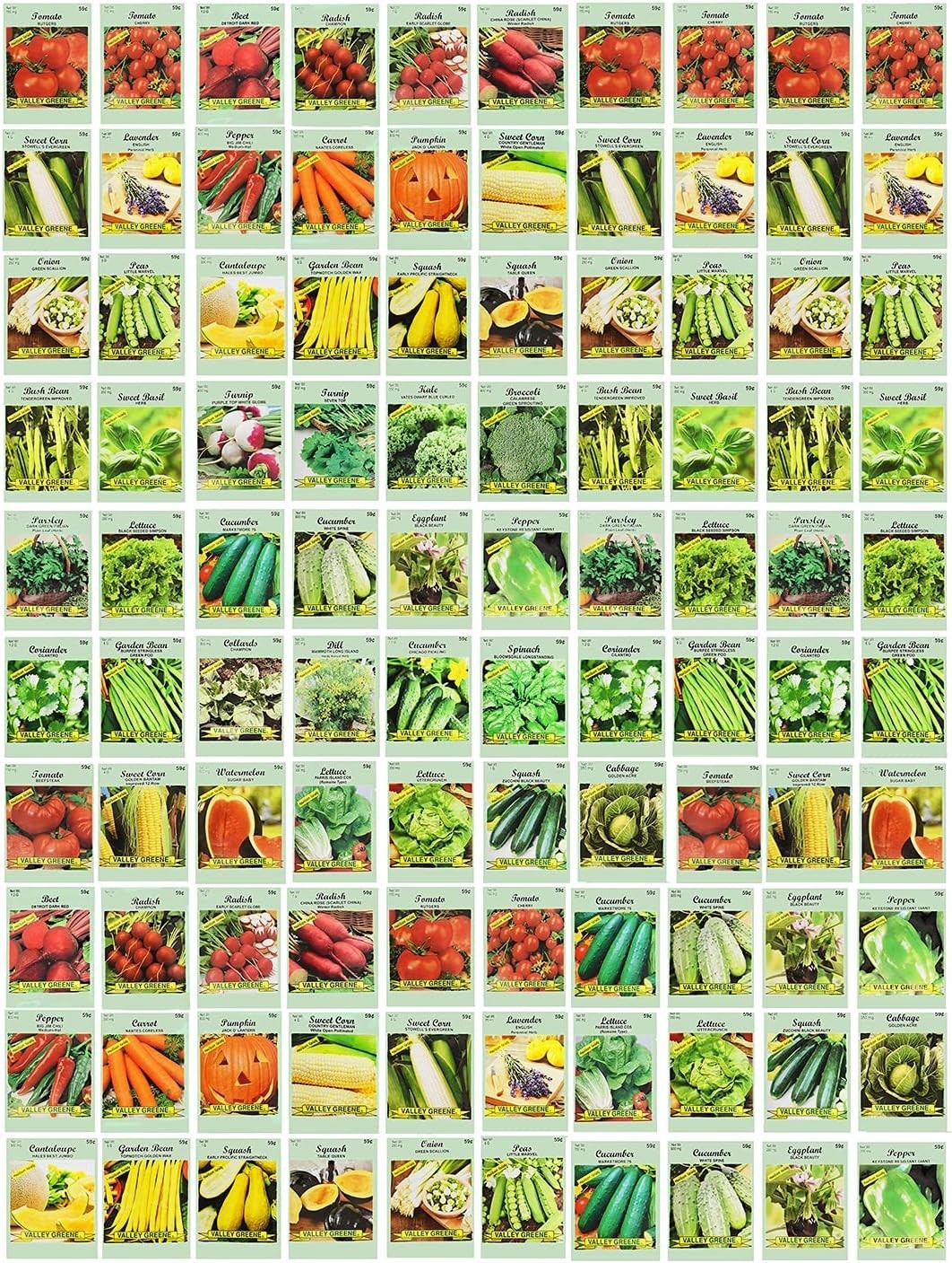 100 Assorted Heirloom Vegetable Seeds 100% Non-GMO (100, Deluxe Assorted Vege…