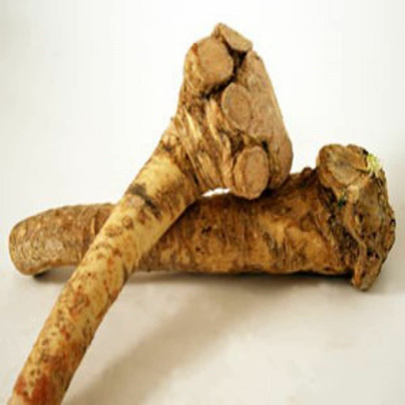 Horseradish Root whole, Ready for Eating, Planting. Can’t Ship internationally.