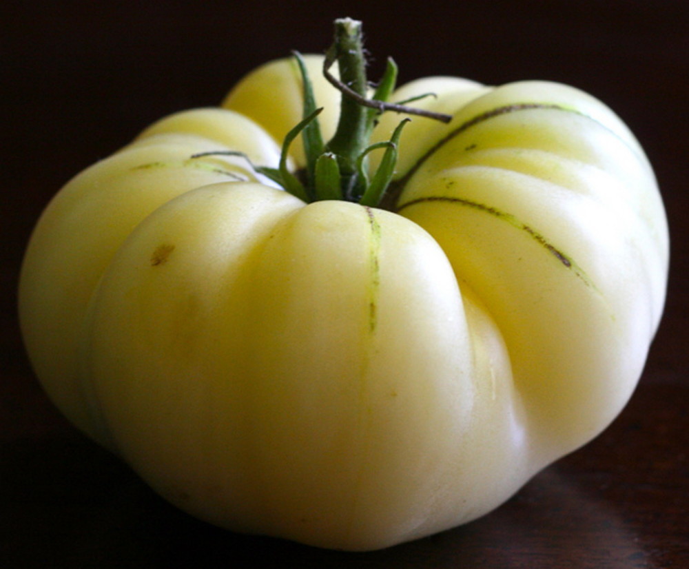 White Wonder Beefsteak Tomato Seeds, 30 Seeds, NON-GMO, FREE SHIPPING
