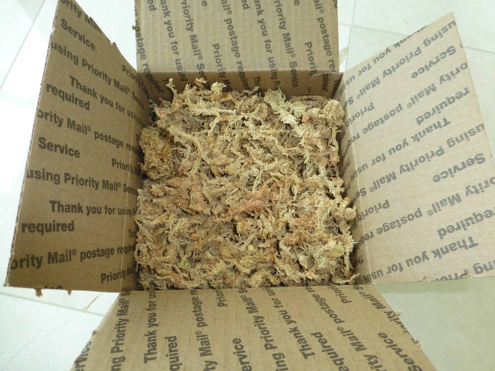 Premium New Zealand Sphagnum Moss AAA Grade for Plants Orchids Reptiles