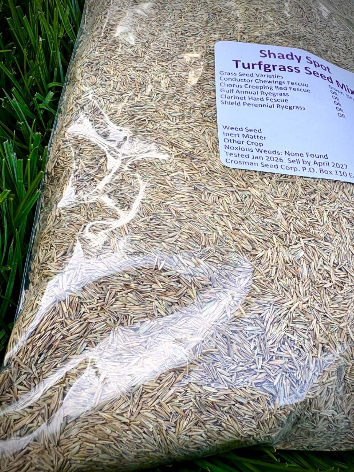 Grass Seed for Shade Fine Fescue Mix 3 lb Cool Season Low Maintenance Full Sun