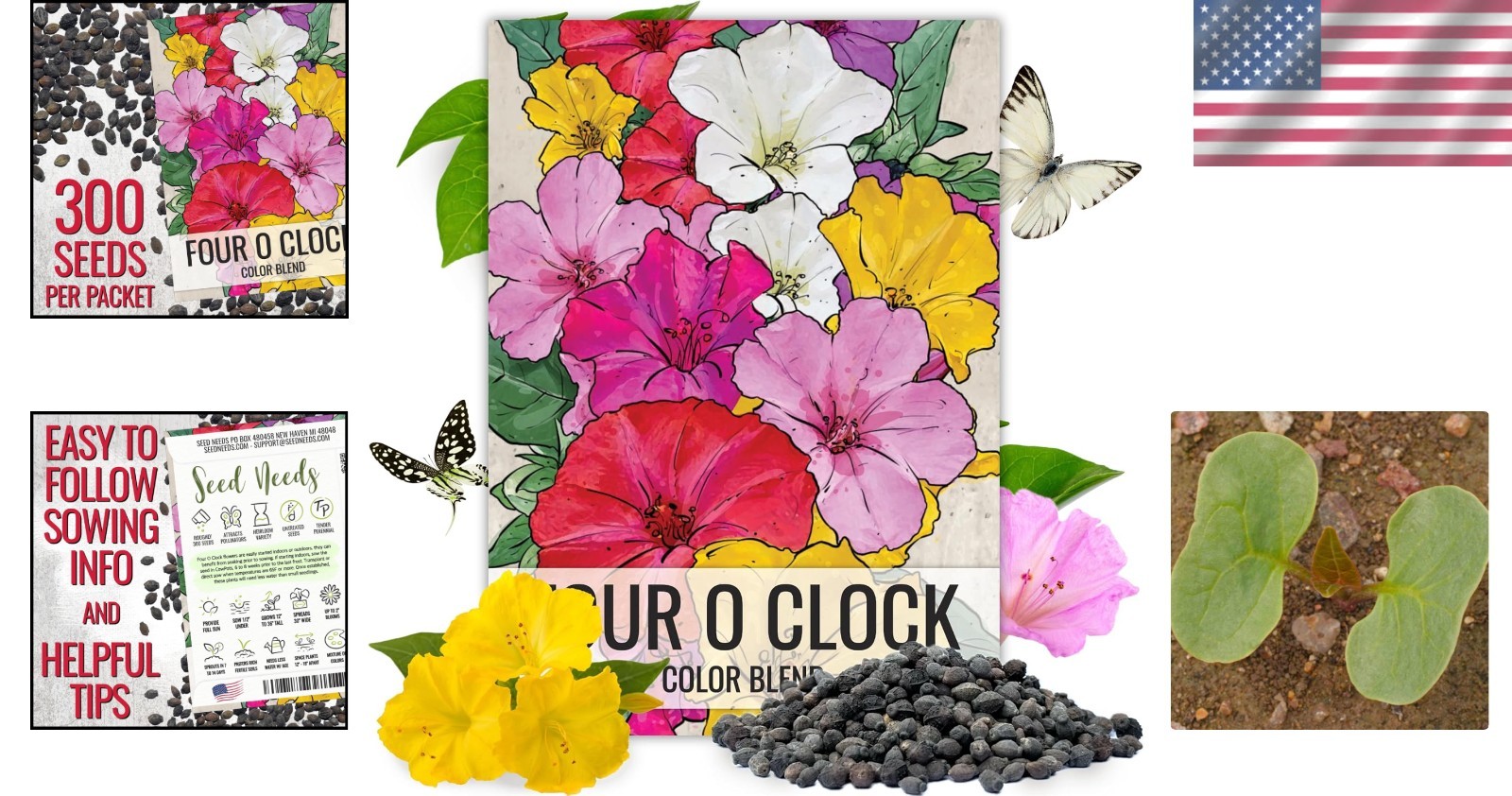 Attract Pollinators with 300+ Heirloom Four O’ Clock Flower Seeds – Mixed Colors