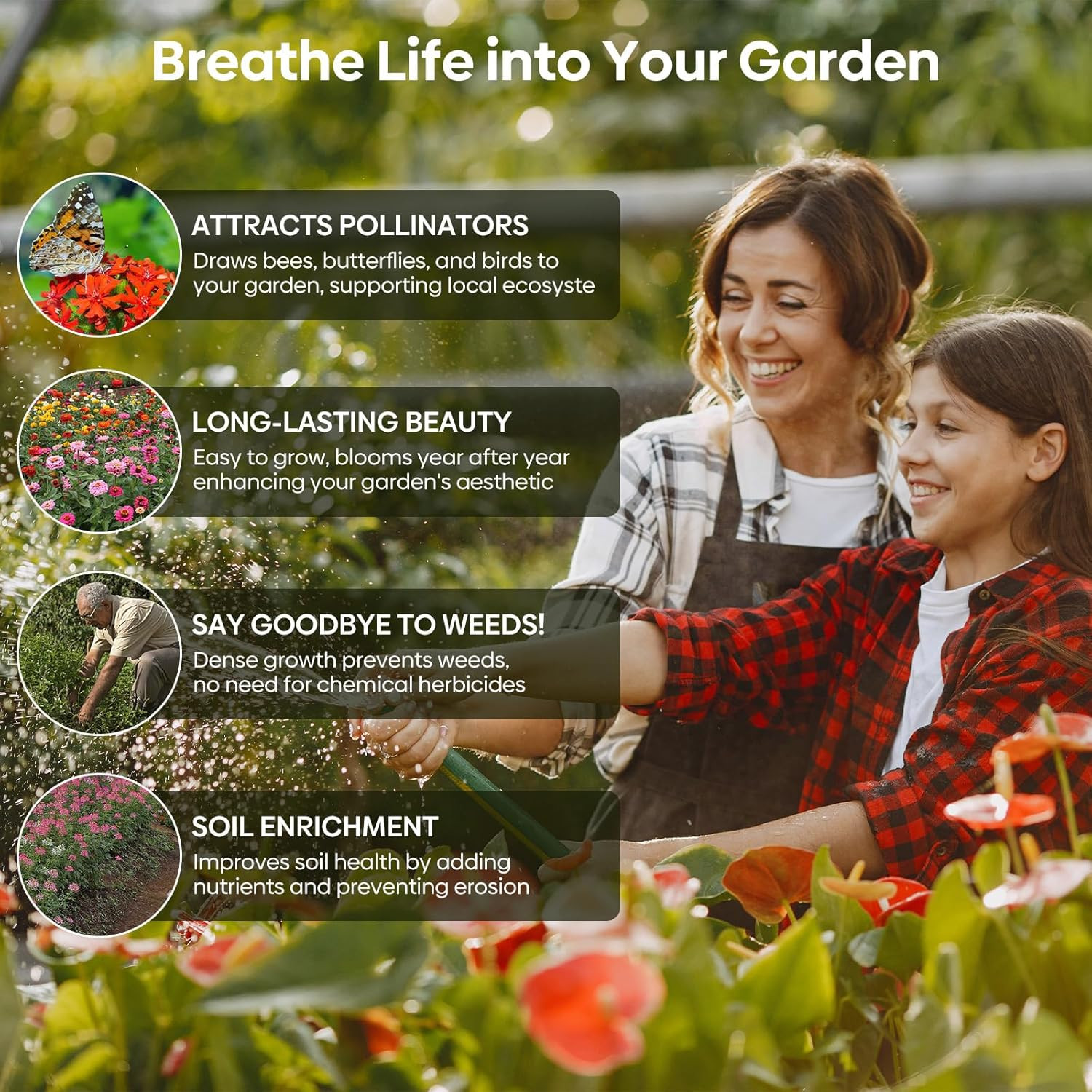 Wildflower Seeds Bulk, 4 Ounce, 100,000+ Seeds, 26 Varieties Annual & Perennial