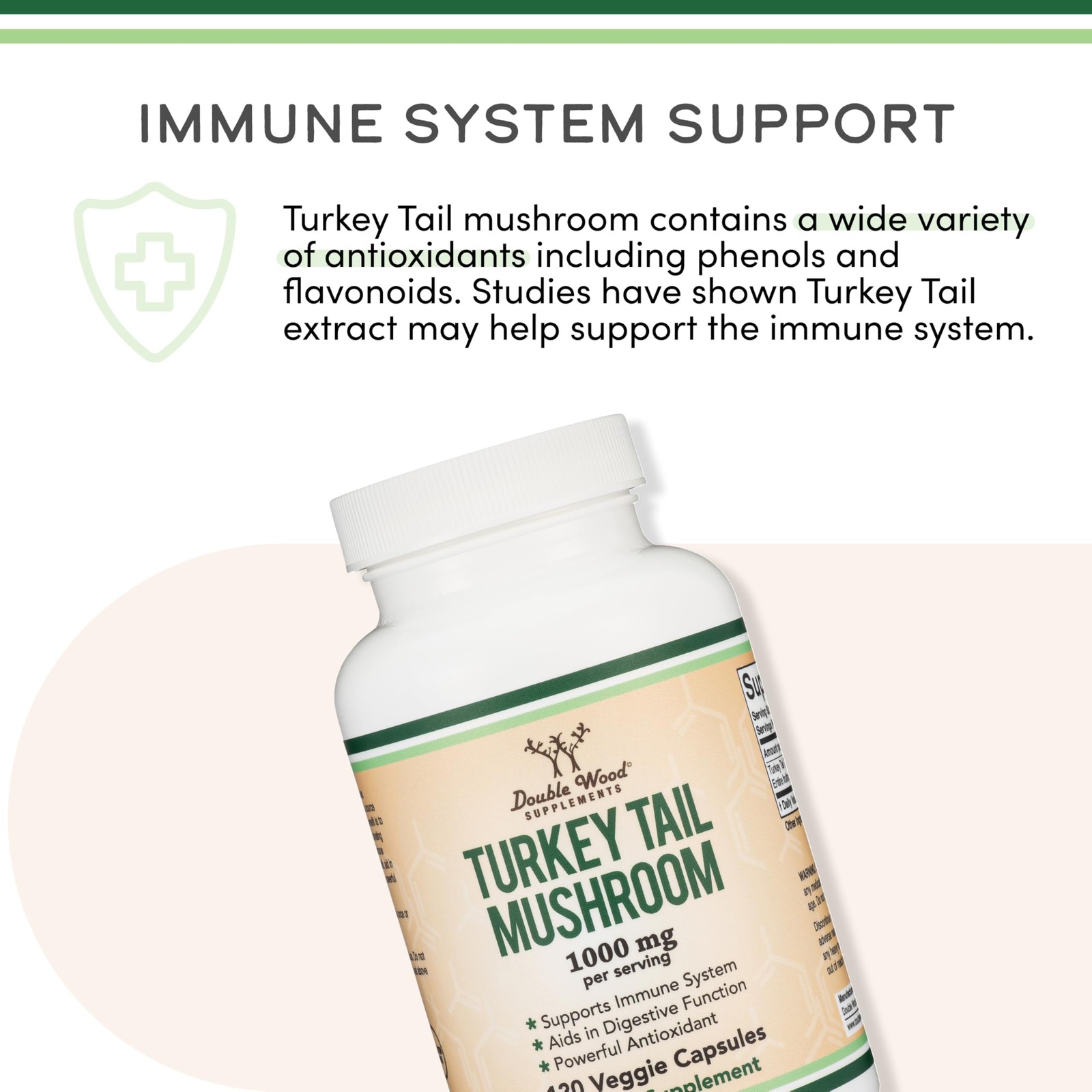 Turkey Tail Mushroom Supplement (120 Capsules – 2 Month 120 Count (Pack of 1)