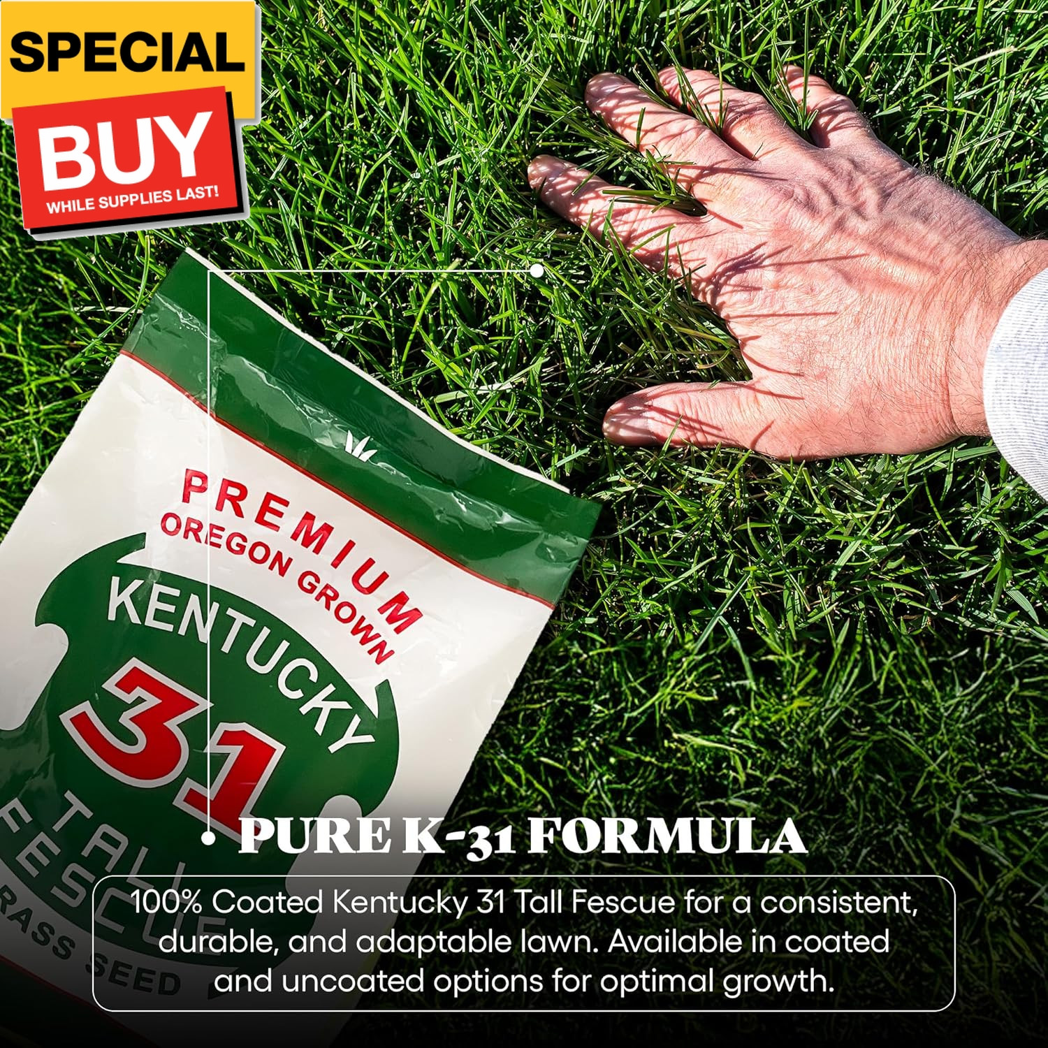 X-Seed Oregon Grown Kentucky 31 Tall Fescue Grass Seed for Sun and Shade Drought