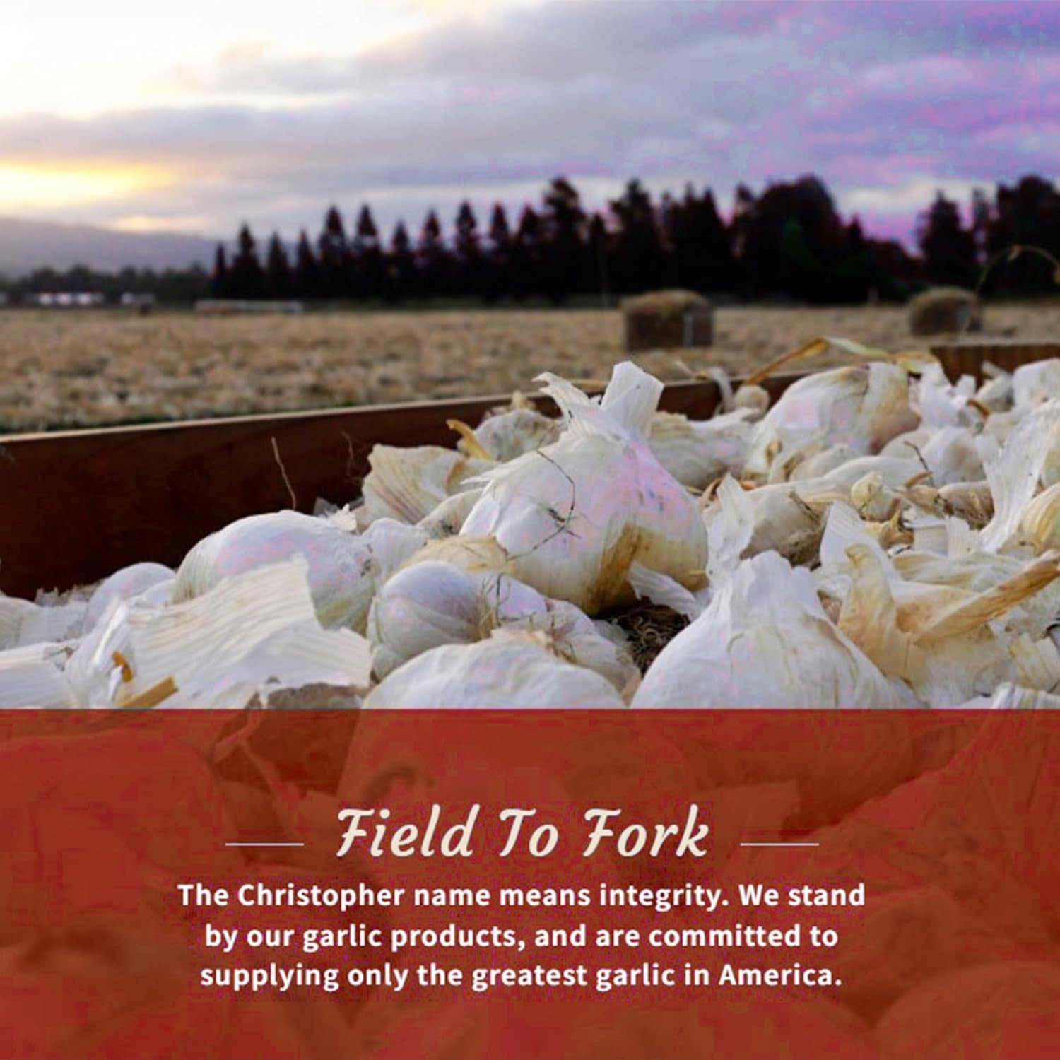 Christopher Ranch Pickled Garlic Cloves in a Jar | 100% California-Grown Fresh G