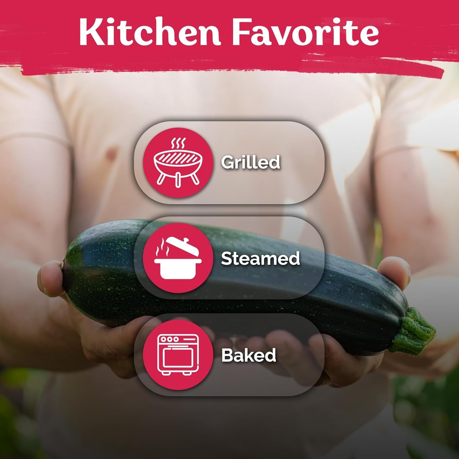 KVITER 50 Black Beauty Zucchini Seeds for Planting (Cucurbita Pepo) – Non-GMO He