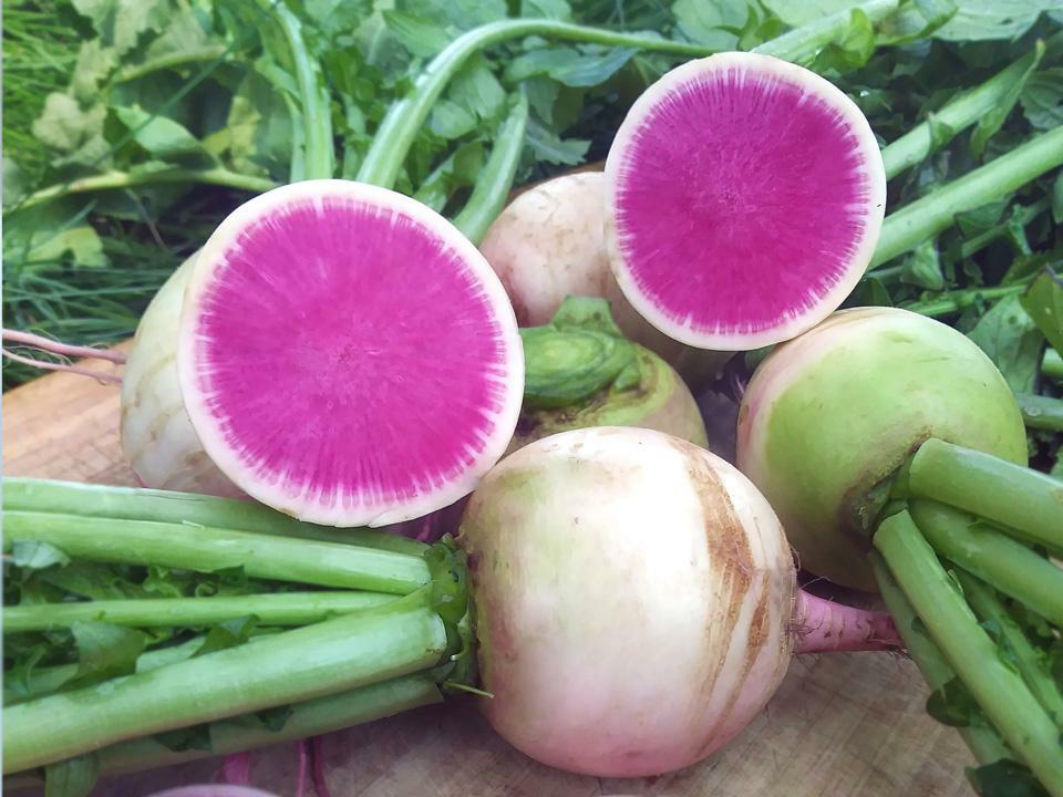 Watermelon Radish Seeds, NON-GMO, Shrinrimei, Chinese Heirloom, FREE SHIPPING
