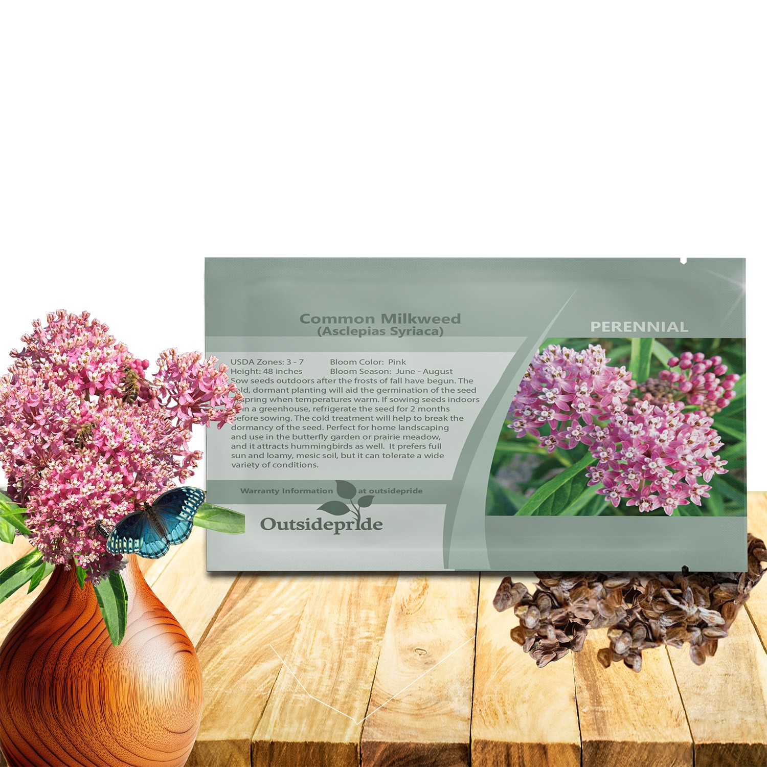 100 Seeds Common Milkweed Drought Resistant Asclepias Syriaca Plant Flower Seed