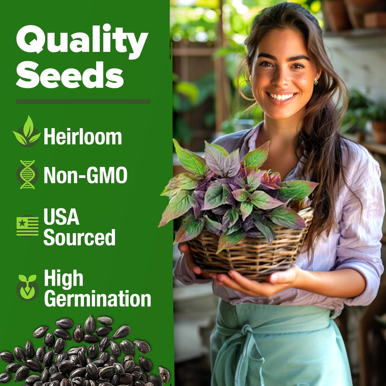 HOME GROWN Thai Basil Seeds Pack – 438 High Germination 1-Pack, Green