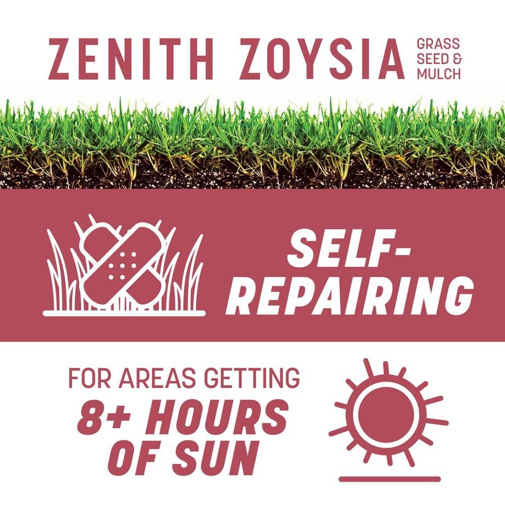 Zenith Zoysia 5 lb. 1,000 sq. ft. Grass Seed and Mulch