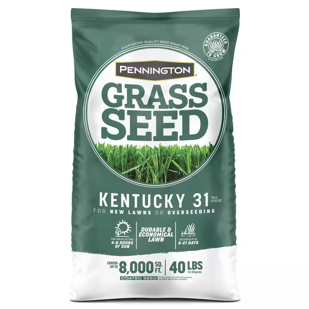 Kentucky 31-Tall Fescue Grass Seeds for Lawn 40 Lbs. 8,000 Sq. Ft. Bulk Grass Se