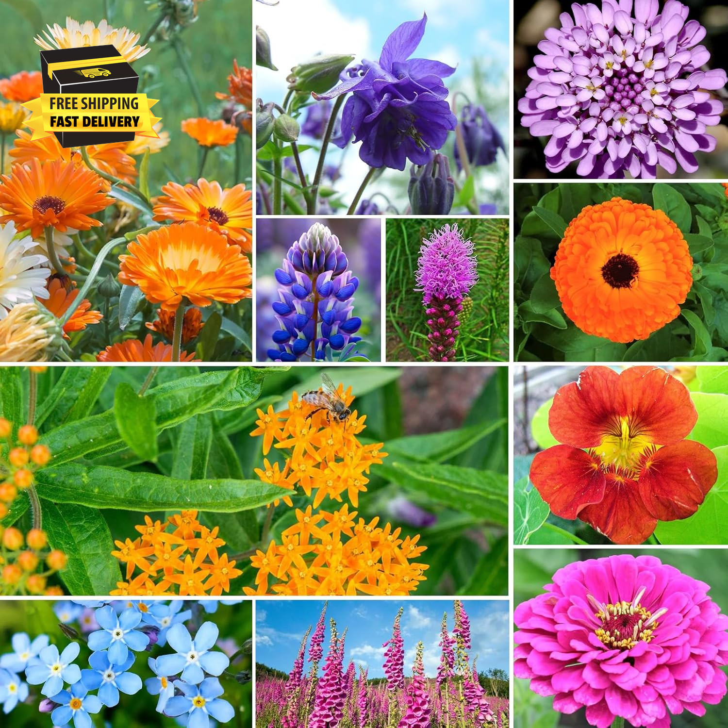 Wildflower Seeds Mix 25,000+, 24 Varieties Perennial & Annual Seeds,1 Oz, for Hu