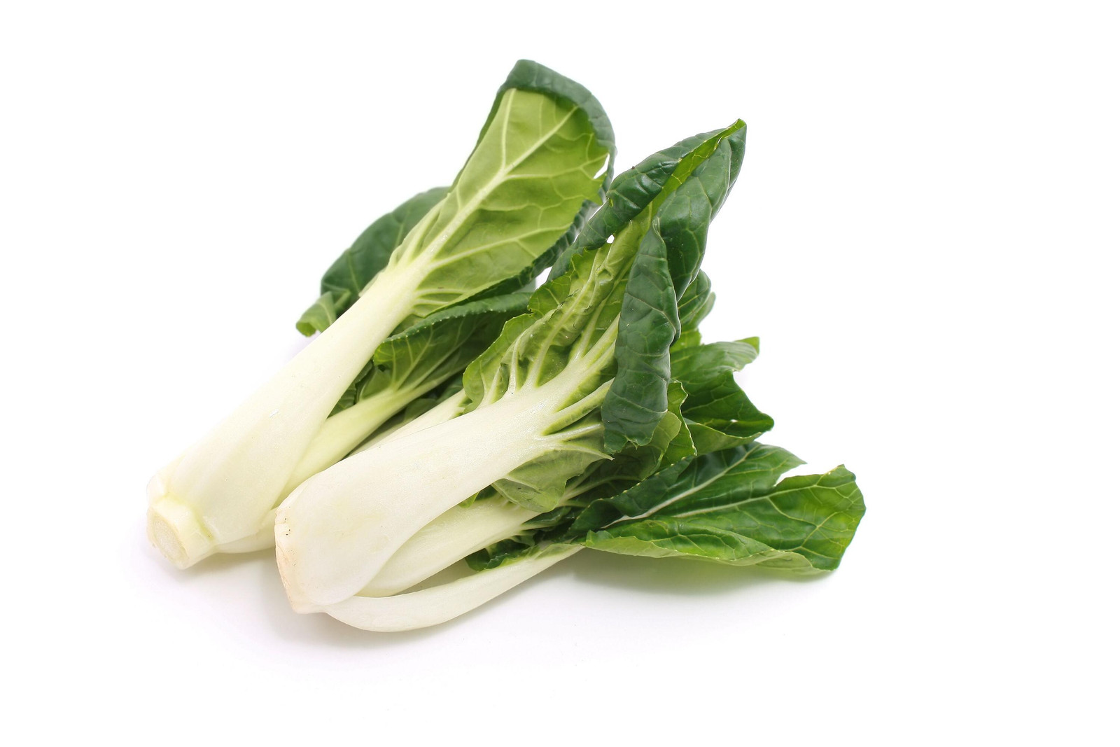 Chinese White Stem Pak Choi Bok Choy Seeds, Non-Gmo, Shipped with Tracking,