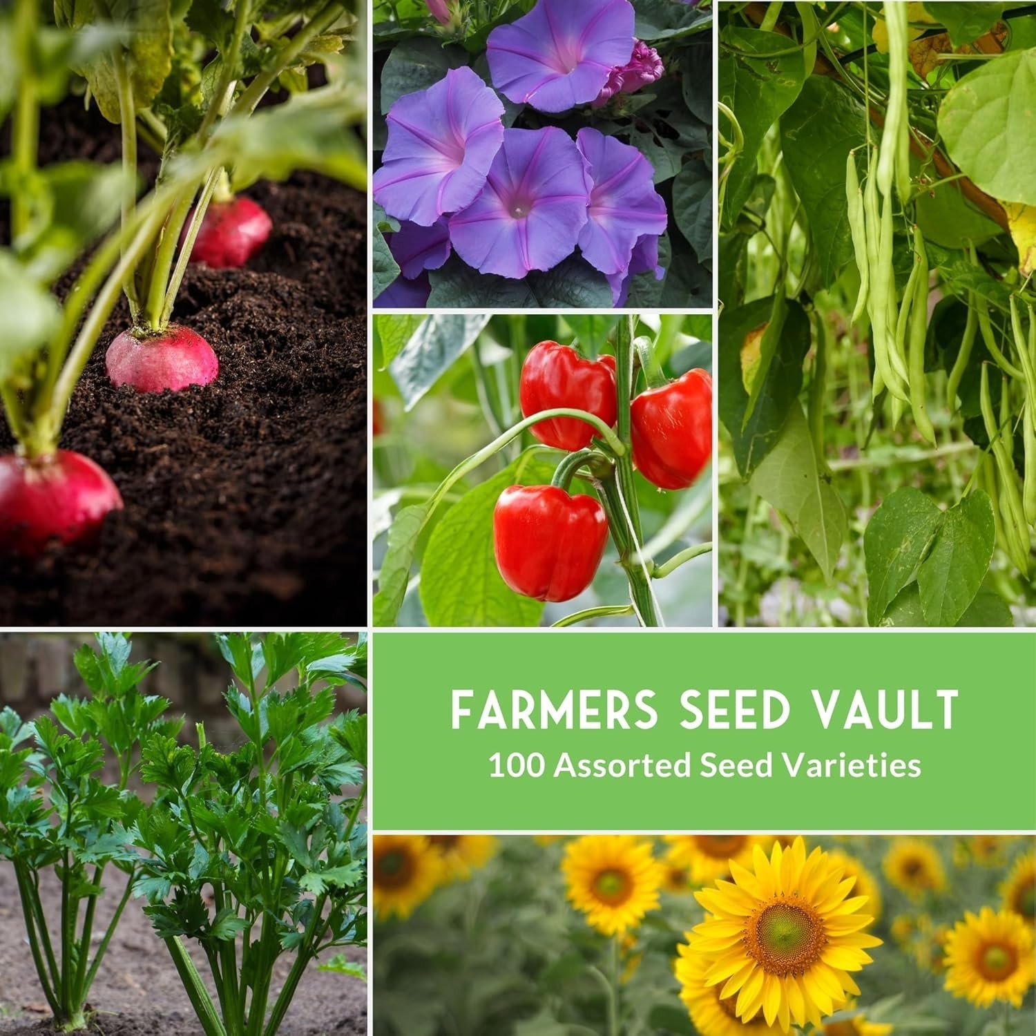 Survival Seed Kit 100 Pack – Non GMO Vegetables, Fruits, Herbs – Emergency Food