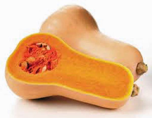 SQUASH SEEDS,WALTHAM BUTTERNUT SQUASH, HEIRLOOM, 500 SEEDS, NON GMO