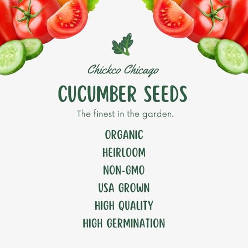 250+ Organic Marketmore Cucumber Seeds – 250 Seeds Marketmore Cucumber Antique