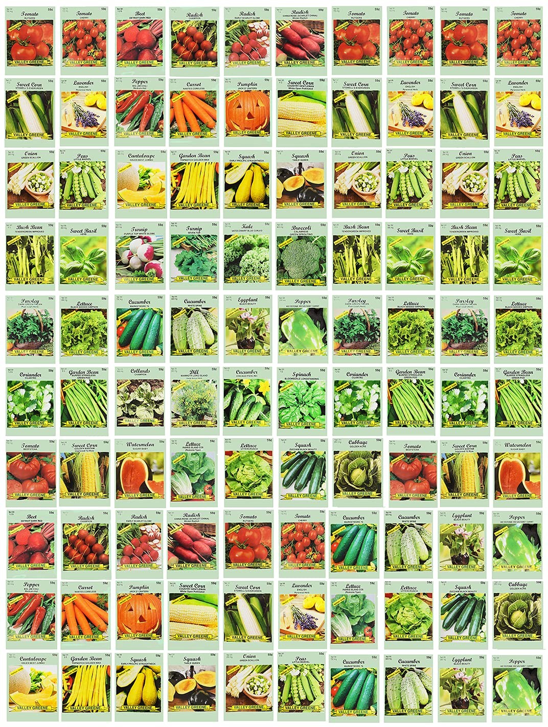 100 Assorted Heirloom Vegetable Seeds 100% Non-GMO (100, Deluxe