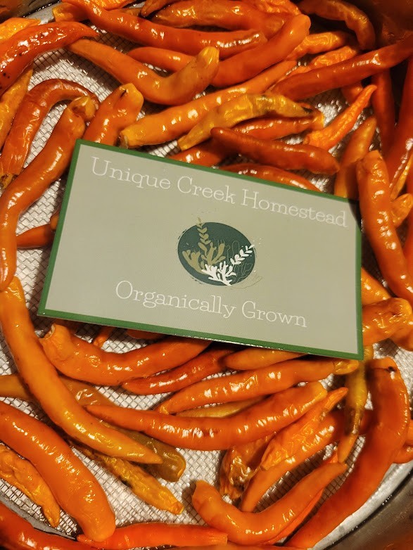 Thai Orange 25 Pepper Seeds 50,000-100,000 Scoville Birds Eye Chili Peppers