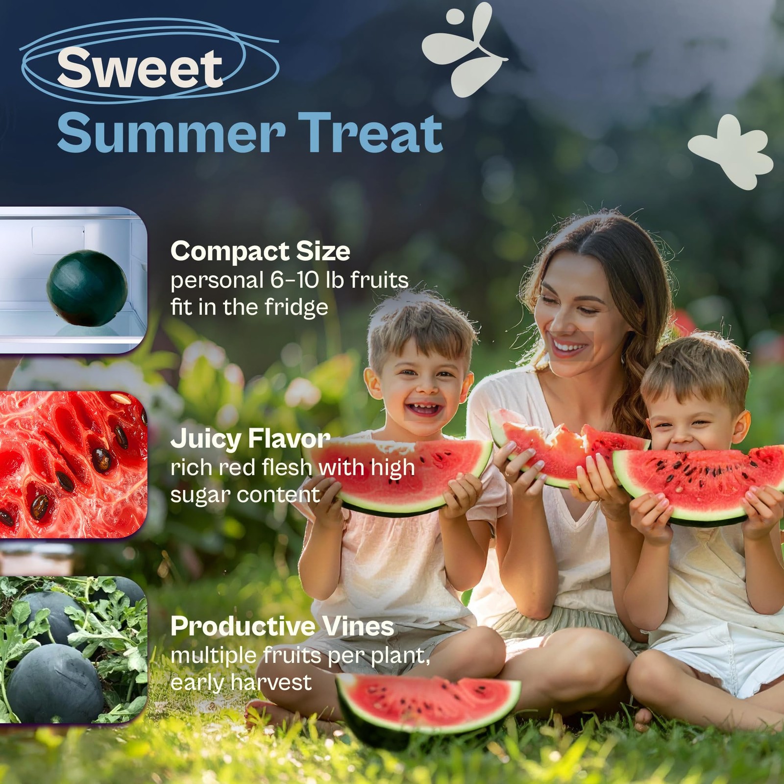 SVI 75 Sugar Baby Watermelon Seeds for Planting (Citrullus lanatus) – Green