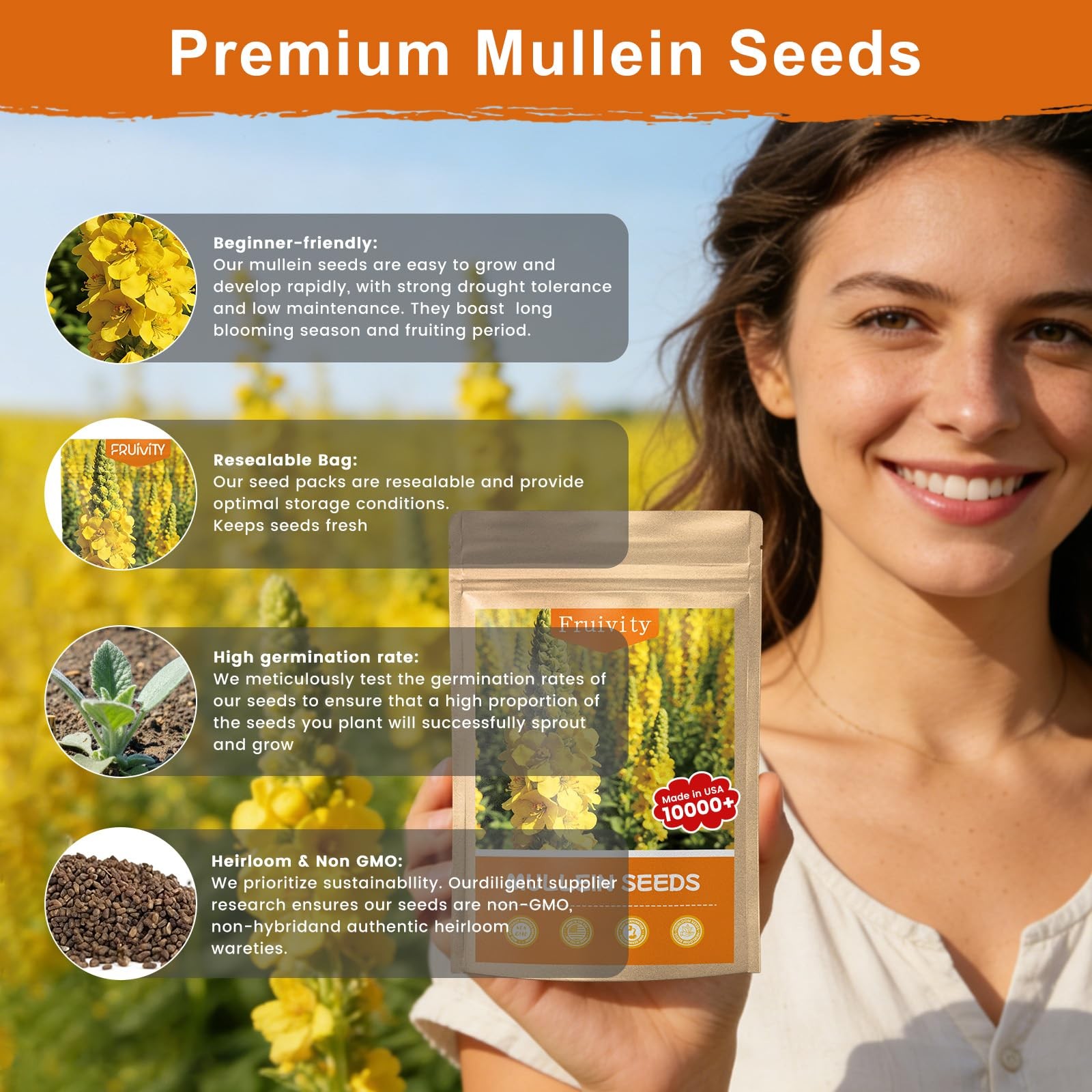 Fruivity 10,000+ Mullein Seeds for Planting(Verbascum Thapsus), Yellow