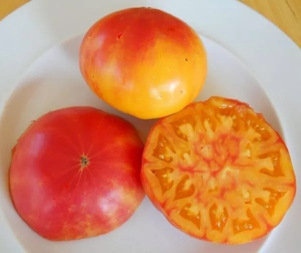 240+ Pineapple Tomato Seeds – Heirloom – Organic – NON GMO — FRESH — RARE