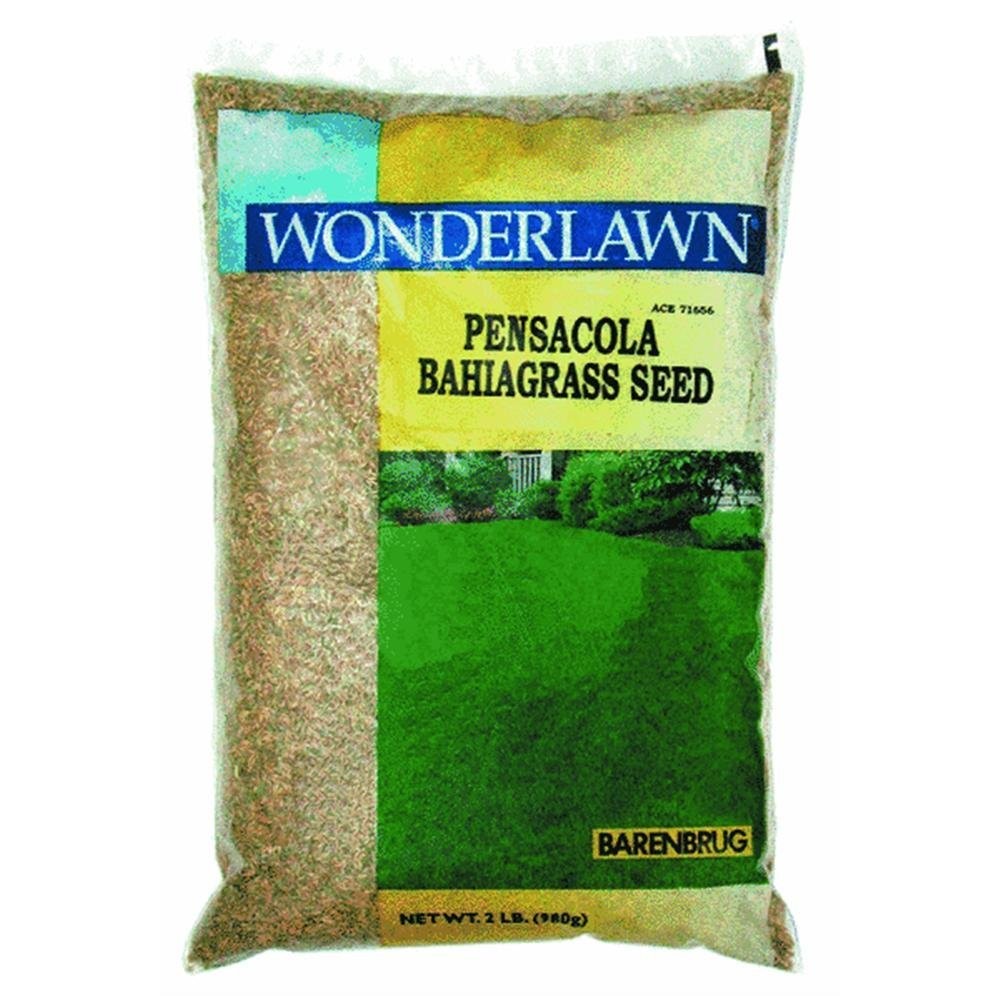 Barenbrug 76202 Pensacola Bahia Seed, 2 lb.