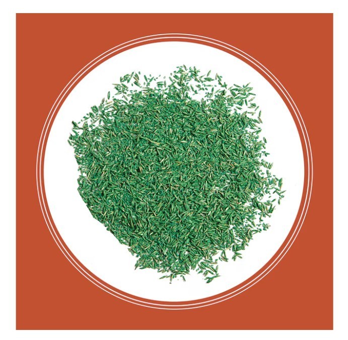 [HOT SALE] Pennington Bermuda Grass Seed 15 lb Bag Covers Up to 15,000 Sq Ft