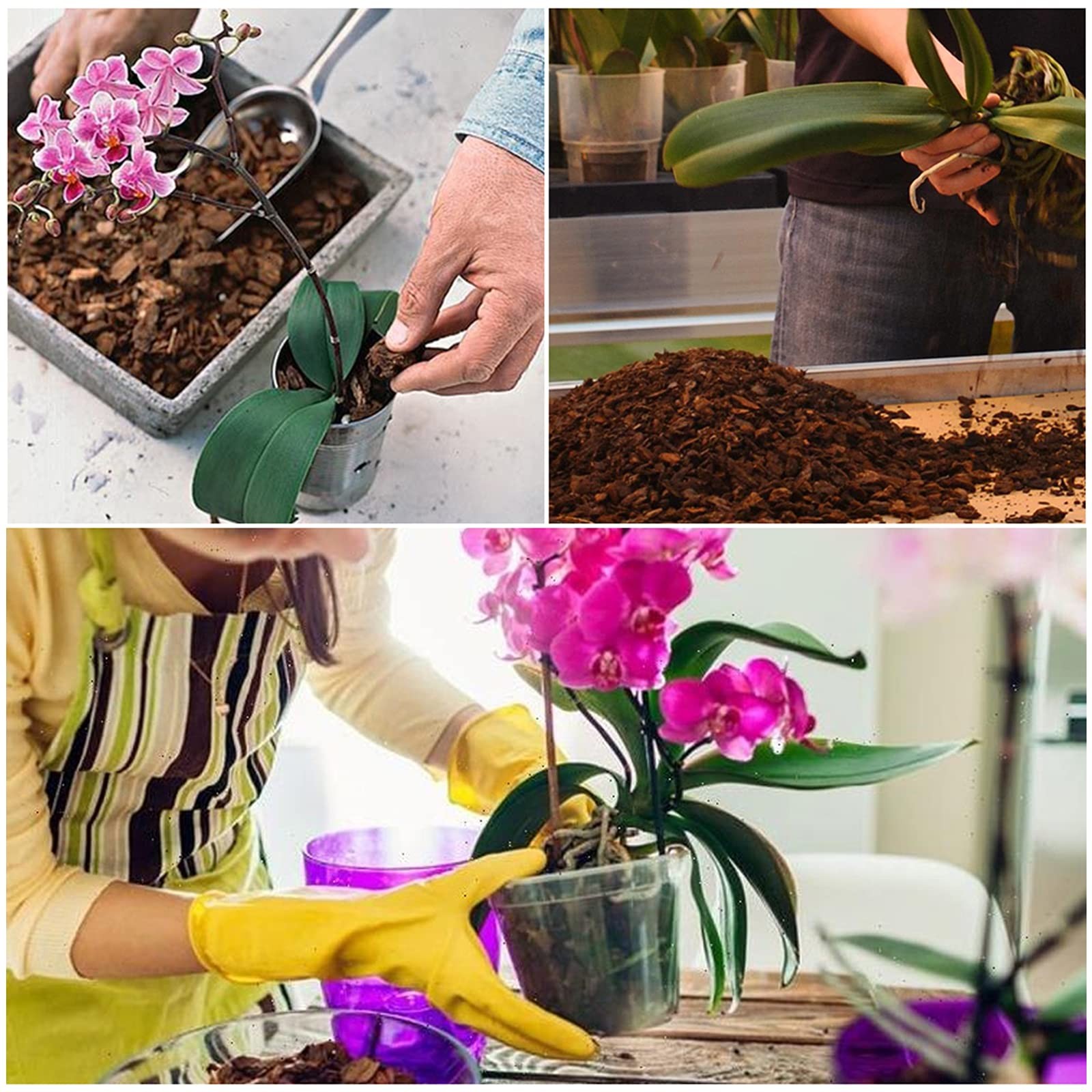 Orchid Potting Mix Bark, Pine Bark and Perlite, Good 2 quart