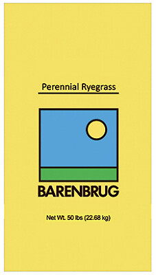 Barenbrug 491164 Perennial VNS Ryegrass Seed, 50 Lbs. – Quantity 1