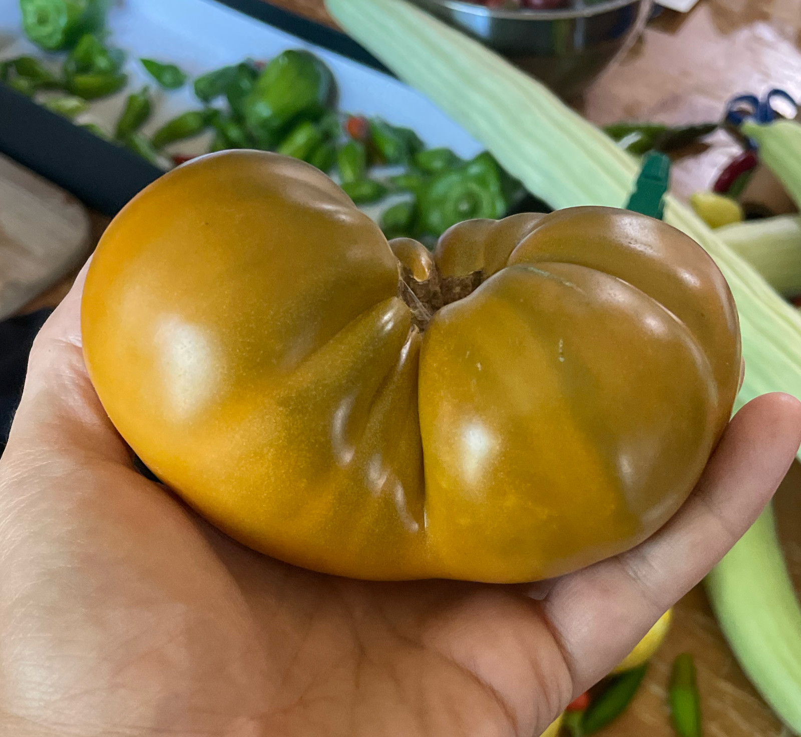 10 seeds Uluru Ochre DWARF Tomato Variety ORGANIC DTP beefsteak