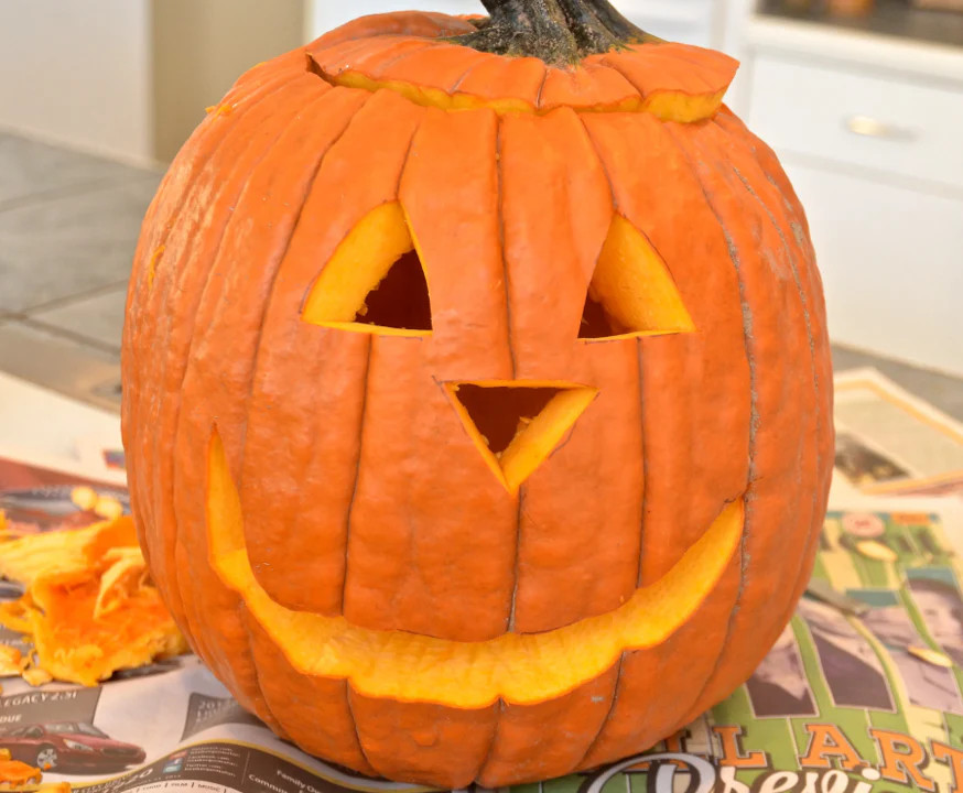 Jack O’ Lantern Pumpkin Seeds |Patch Pumpkins Carving Squash Vegetable Seed 2024