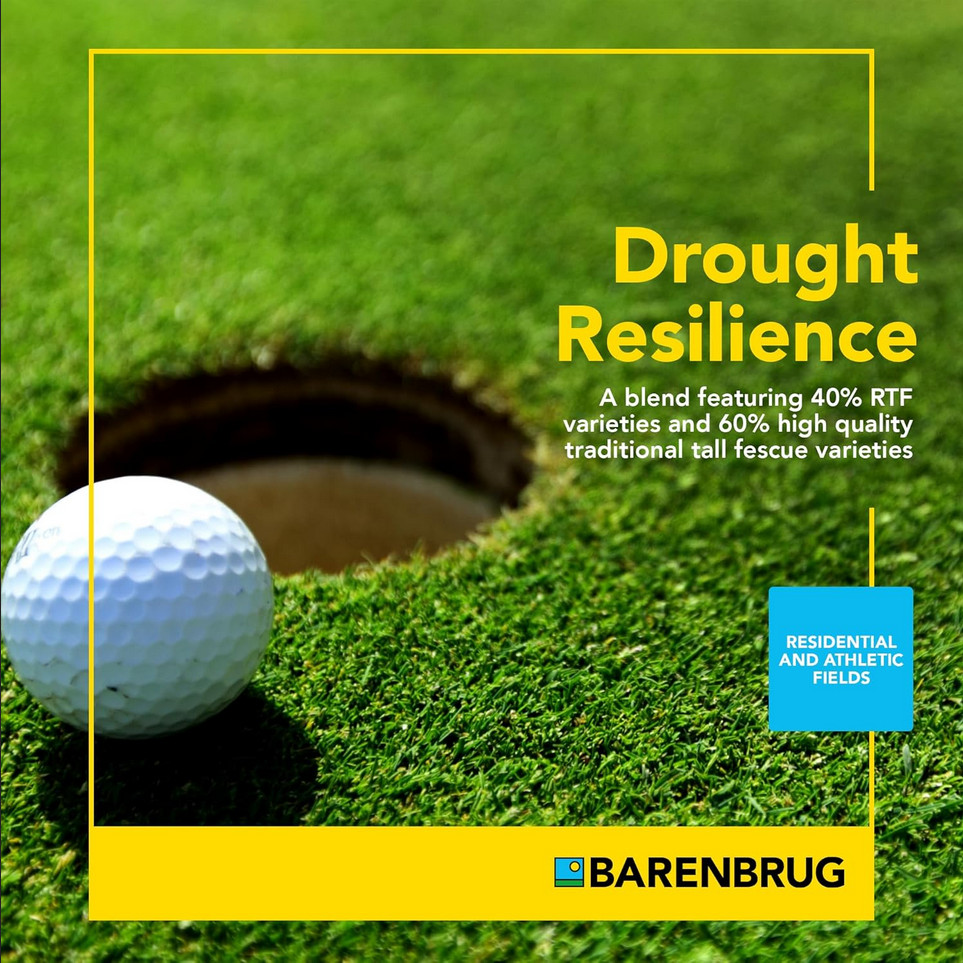 Barenbrug Turf Saver RTF PremiumGrass Seed with Yellow Jacket Seed Coating 10lbs
