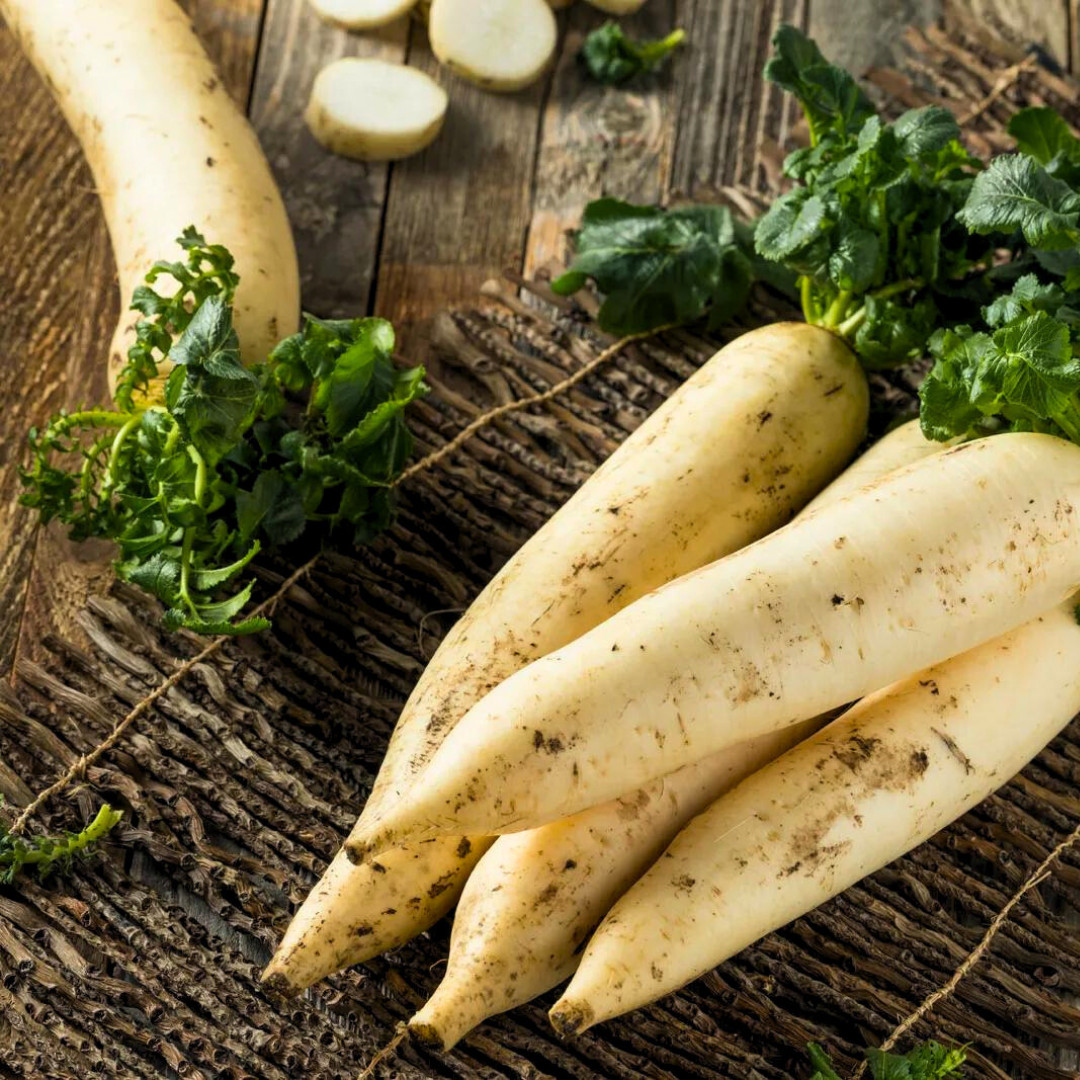 Fresh Daikon Radish Japanese Minowase Seeds | Heirloom Non-GMO | Vegetable Seeds