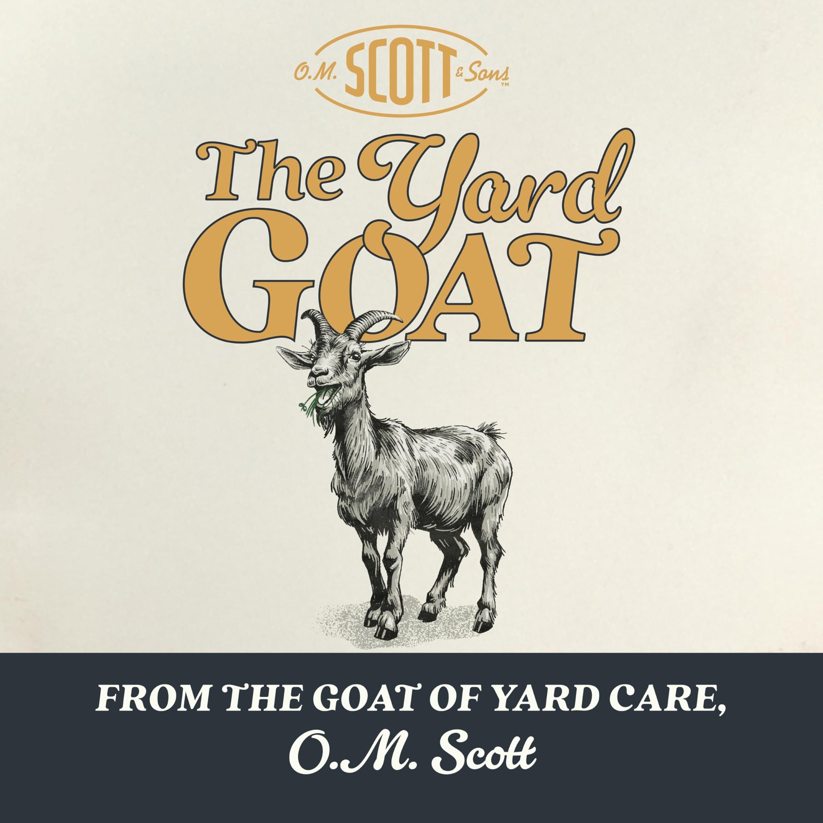 Scotts O.M. Scott And Sons Tall Fescue Blend – And Soil