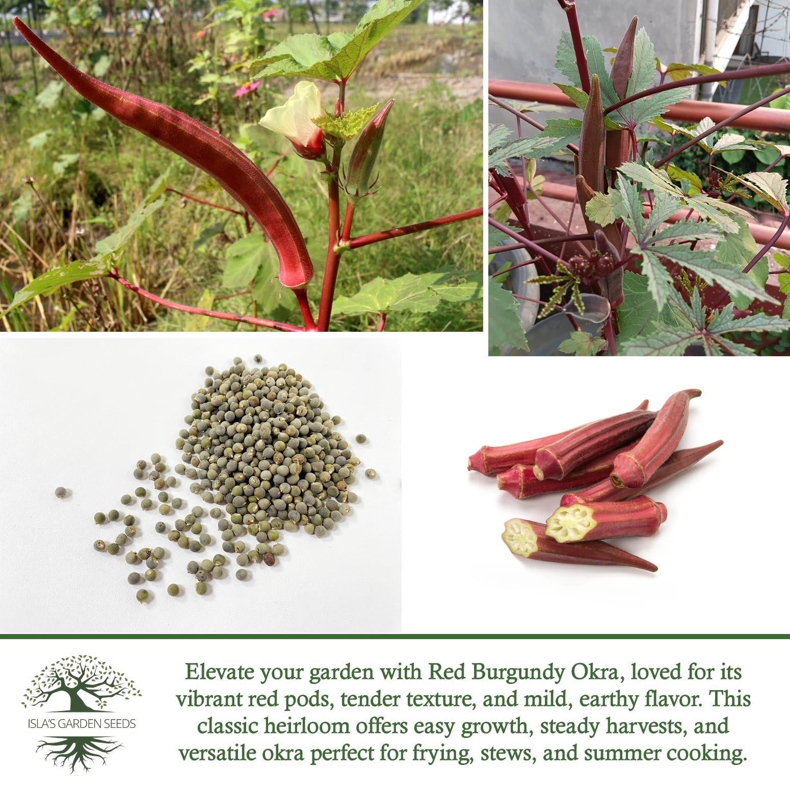 Red Burgundy Okra Seeds for Planting – 100+ Non-GMO & Heirloom
