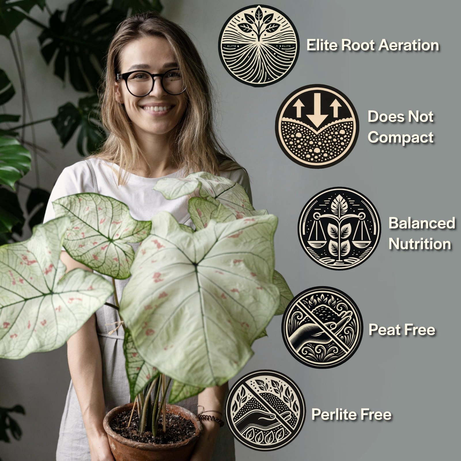 Organic Potting Mix for Indoor Plants – Well Draining Soil for Alocasia, Philode
